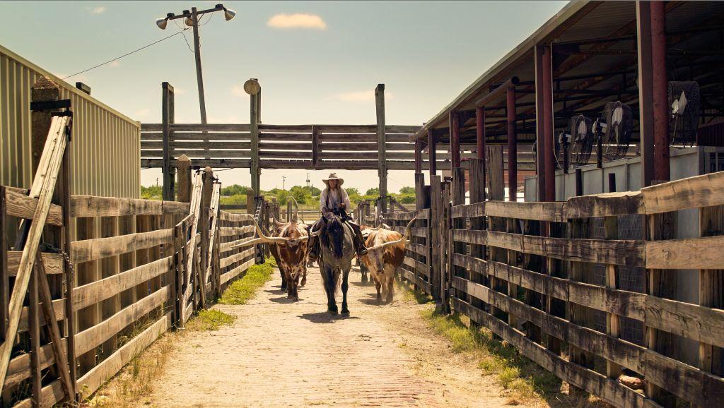 Lone Star State Texas